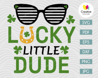 Lucky Little Dude Svg, St Patricks Day SVG