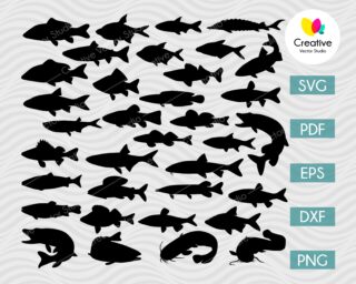 Download Fish Svg Cut File Creative Vector Studio