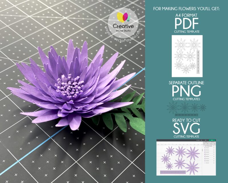 Chrysanthemum Paper Flower formats of cutting templates #12