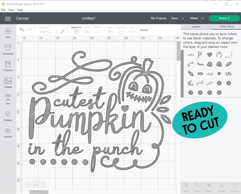 Cutest Pumpkin In The Punch SVG cut file