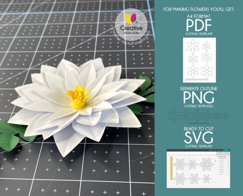 Paper Flower formats of cutting templates #13