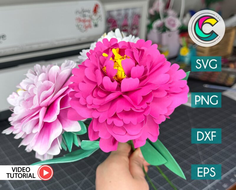 3D Paper Peony Flower SVG