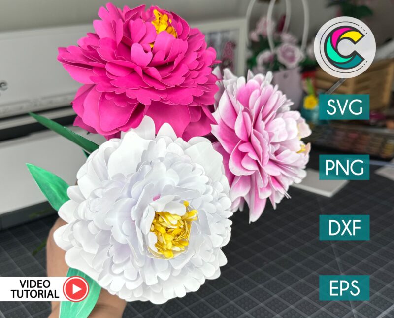 How to Make Peony Paper Flower SVG