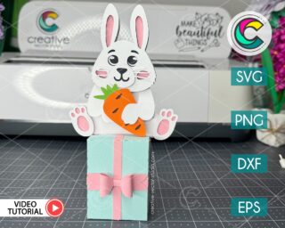 Easter bunny gift box svg
