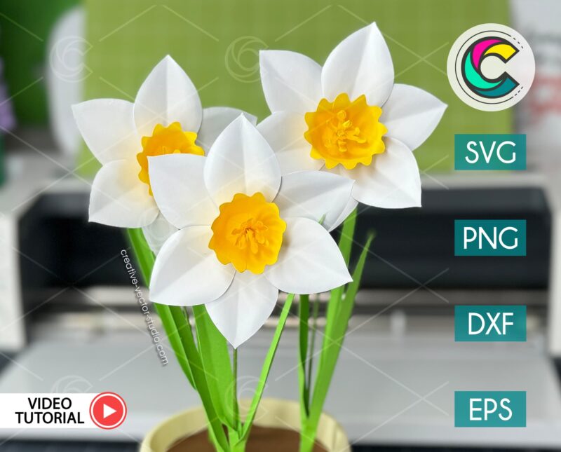 Narcissus Flower SVG Template