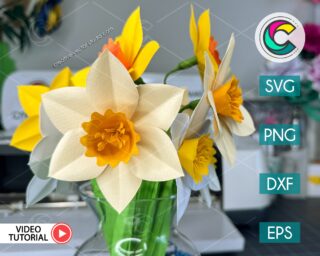 Daffodil Flower SVG Template
