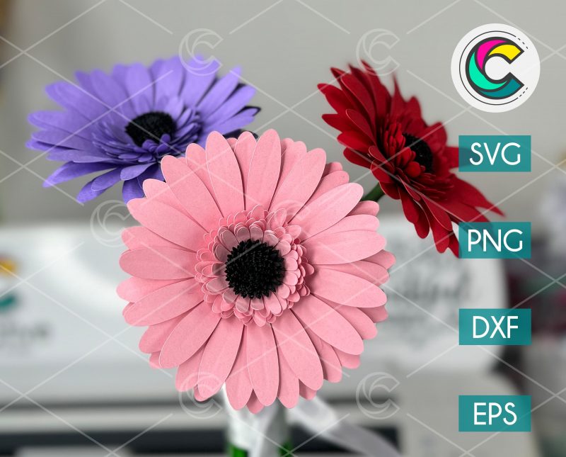 3D Gerbera Flower SVG